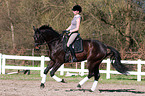 woman rides warmblood