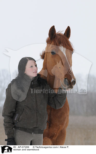 Frau und Zangersheider Sportpferd / woman and warmblood / AP-07289