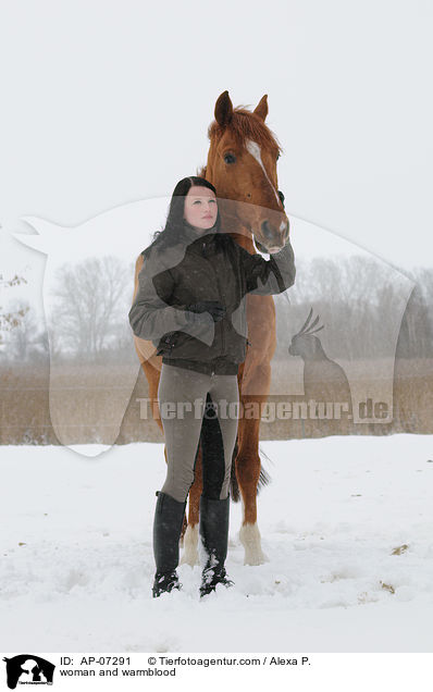 Frau und Zangersheider Sportpferd / woman and warmblood / AP-07291