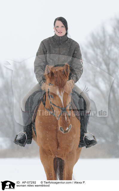 woman rides warmblood / AP-07292