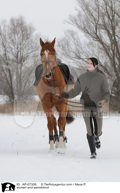 Frau und Zangersheider Sportpferd / woman and warmblood / AP-07306