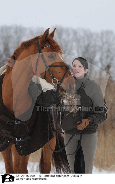 Frau und Zangersheider Sportpferd / woman and warmblood / AP-07309