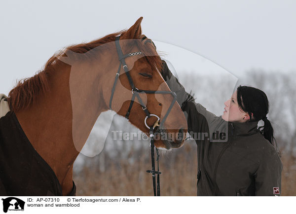 Frau und Zangersheider Sportpferd / woman and warmblood / AP-07310