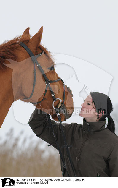 Frau und Zangersheider Sportpferd / woman and warmblood / AP-07314