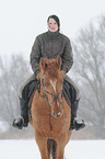 woman rides warmblood