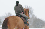 woman rides warmblood