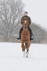 woman rides warmblood