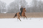woman rides warmblood
