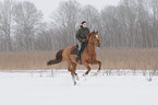 woman rides warmblood