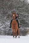 woman rides warmblood