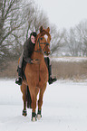 woman rides warmblood