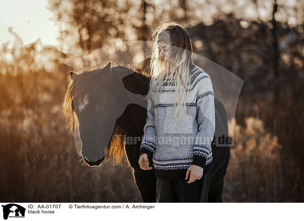 black horse / AA-01707