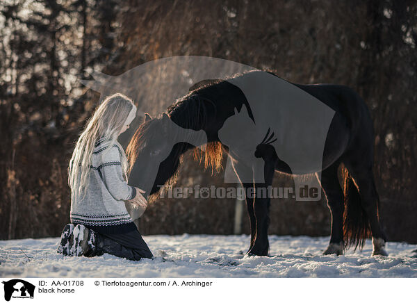 Rappe / black horse / AA-01708