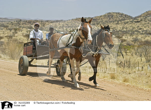 horse cart / HJ-03289