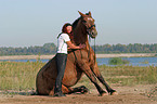 sitting horse