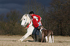 sitting horse