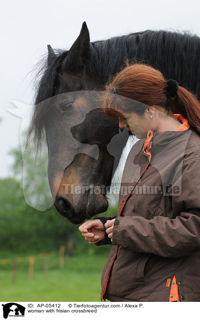 woman with frisian crossbreed / AP-05412