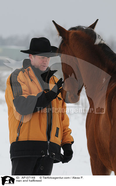 Mann und Araber-Pinto / man and halfbreed / AP-07148