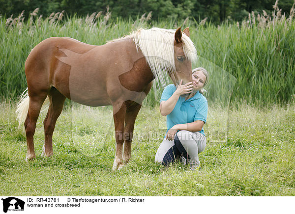 Frau und Haflinger-Mix / woman and crossbreed / RR-43781