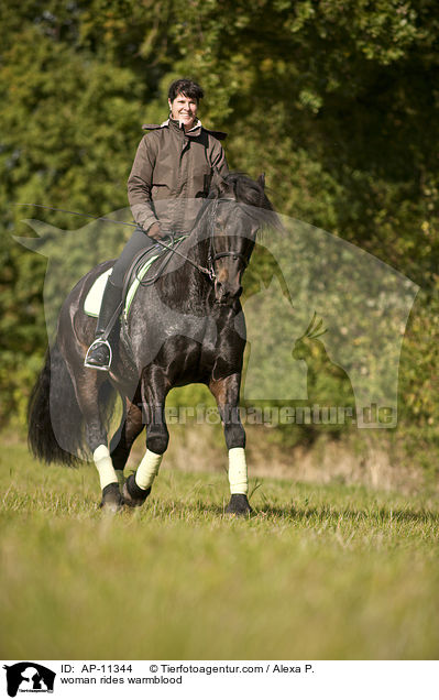 Frau reitet Friesen-Mix / woman rides warmblood / AP-11344