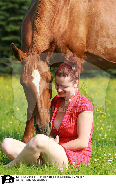 Frau und Araber-Mix / woman and crossbreed / PM-05466
