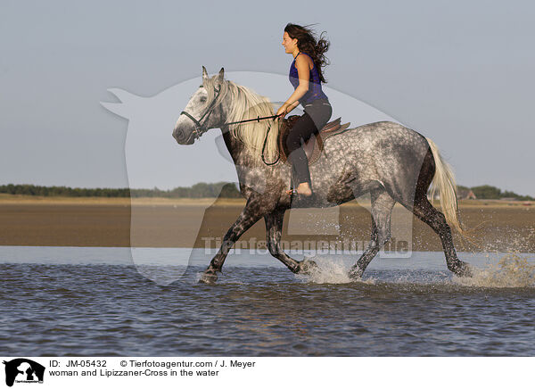 Frau und Lipizzaner-Mix im Wasser / woman and Lipizzaner-Cross in the water / JM-05432