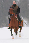 man rides halfbreed
