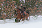 man rides halfbreed