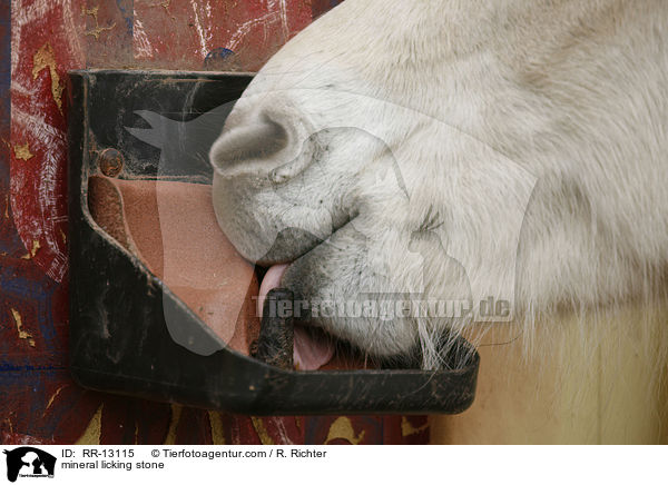 Mineralleckstein / mineral licking stone / RR-13115