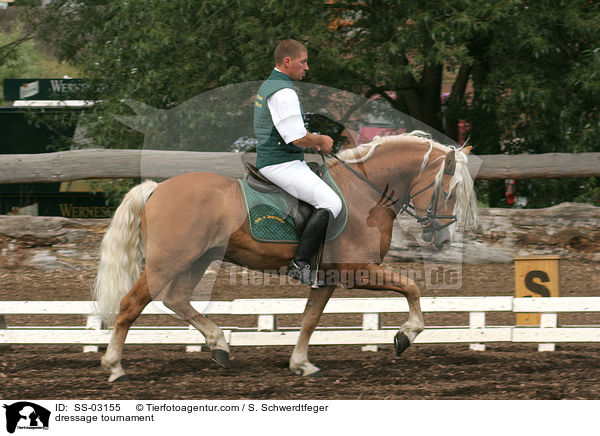Dressurprfung / dressage tournament / SS-03155