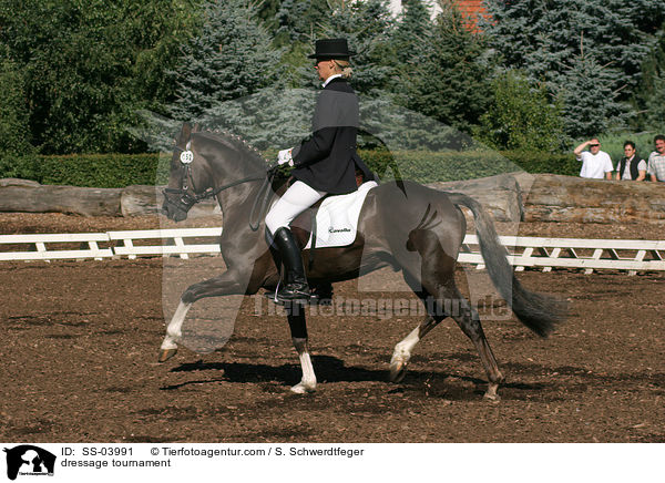 Dressur-Turnier / dressage tournament / SS-03991