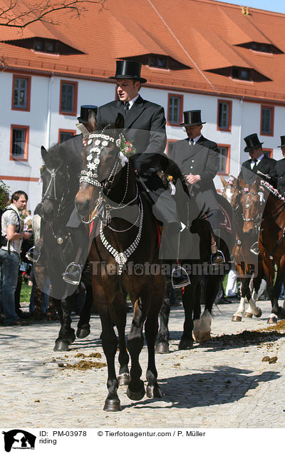 Osterreiten / riding / PM-03978