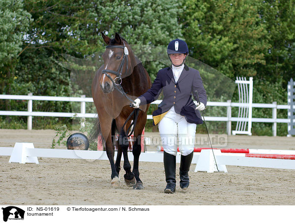 Reitpferdeprfung / tournament / NS-01619