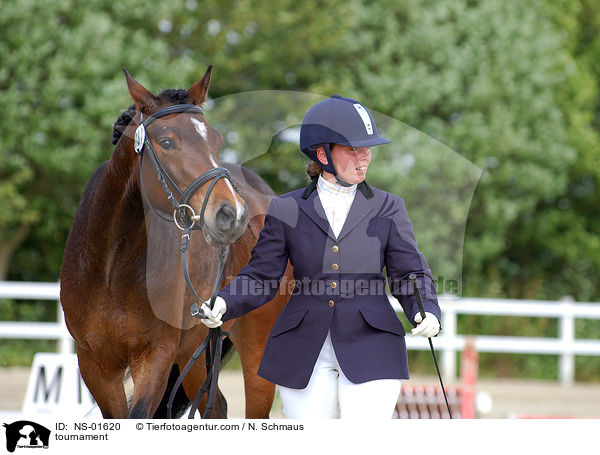 Reitpferdeprfung / tournament / NS-01620