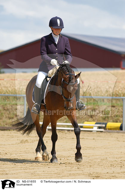 Reitpferdeprfung / tournament / NS-01655
