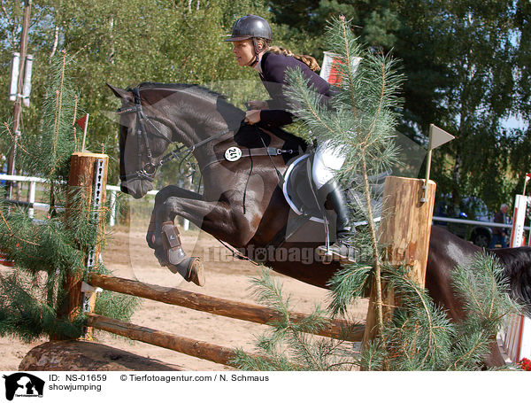 Springreiten / showjumping / NS-01659