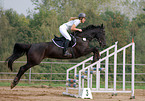 showjumping