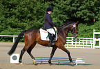 dressage