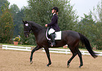 dressage