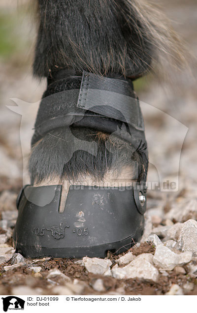 hoof boot / DJ-01099