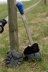 hoof boots