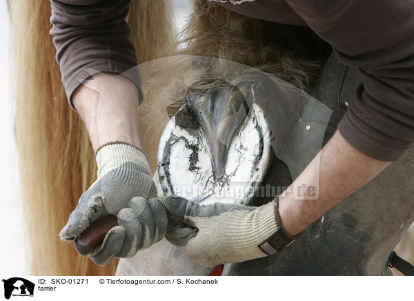 Hufschmied / farrier / SKO-01271