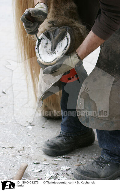 Hufschmied / farrier / SKO-01273