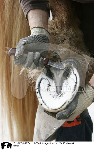 Hufschmied / farrier / SKO-01274