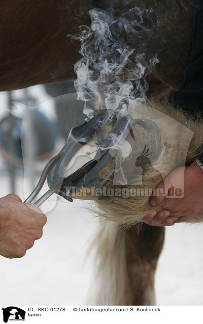 farrier / SKO-01278
