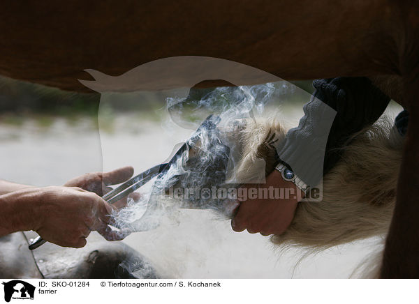 Hufschmied / farrier / SKO-01284