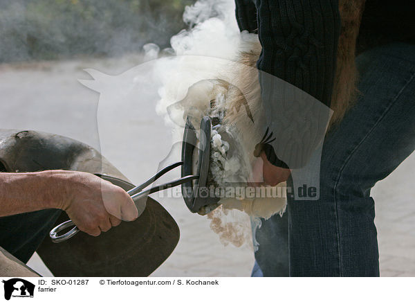 Hufschmied / farrier / SKO-01287