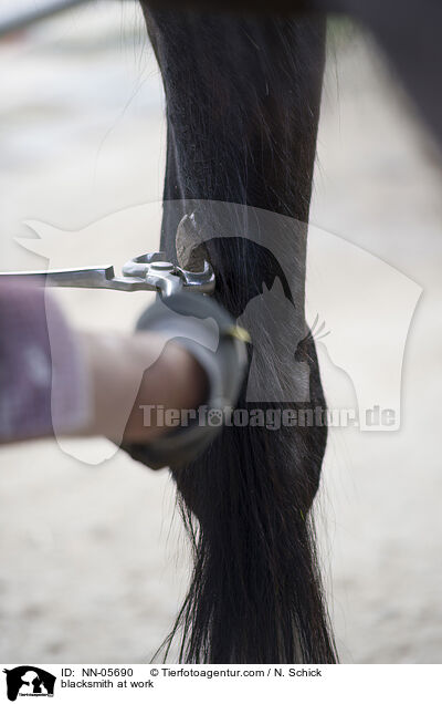 blacksmith at work / NN-05690