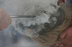 farrier