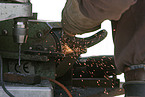 farrier